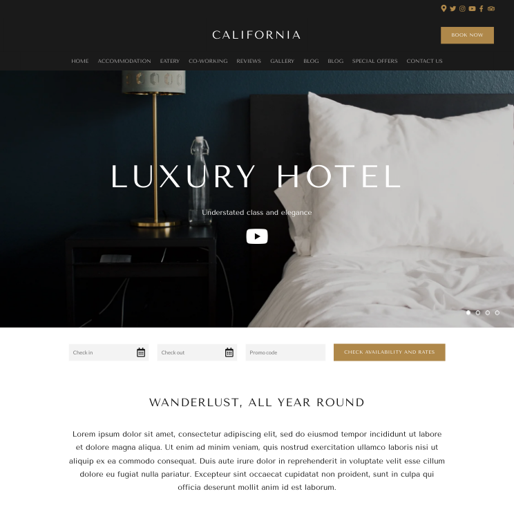 California Luxury Website Theme Desktop Screenshot