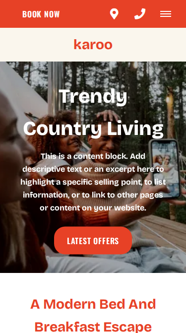 Karoo Trendy Website Theme Mobile Screenshot