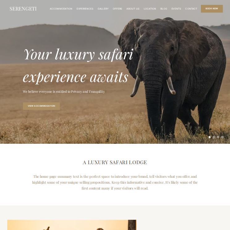 Serengeti Luxury Website Theme Desktop Screenshot
