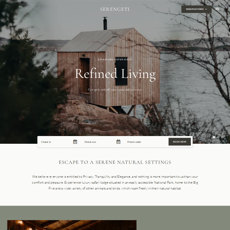 Serengeti Elegant Website Theme Desktop Screenshot