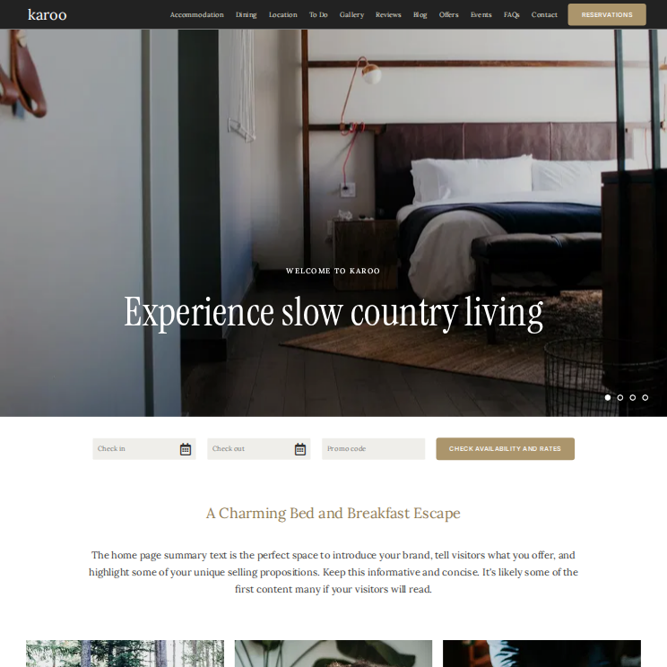 Karoo Elegant Website Theme Desktop Screenshot