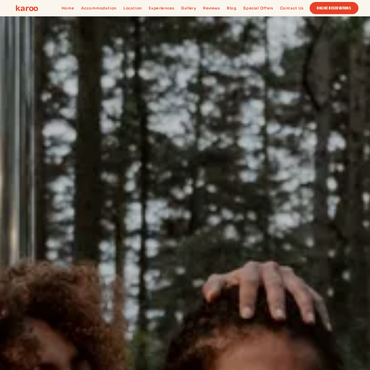 Karoo Trendy Website Theme Desktop Screenshot